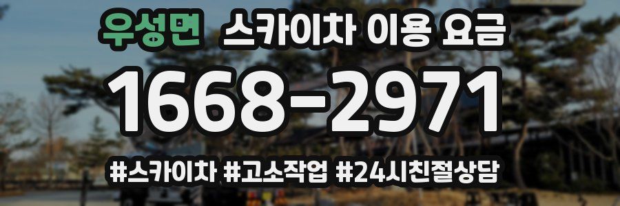 우성면 스카이차 이용 요금
