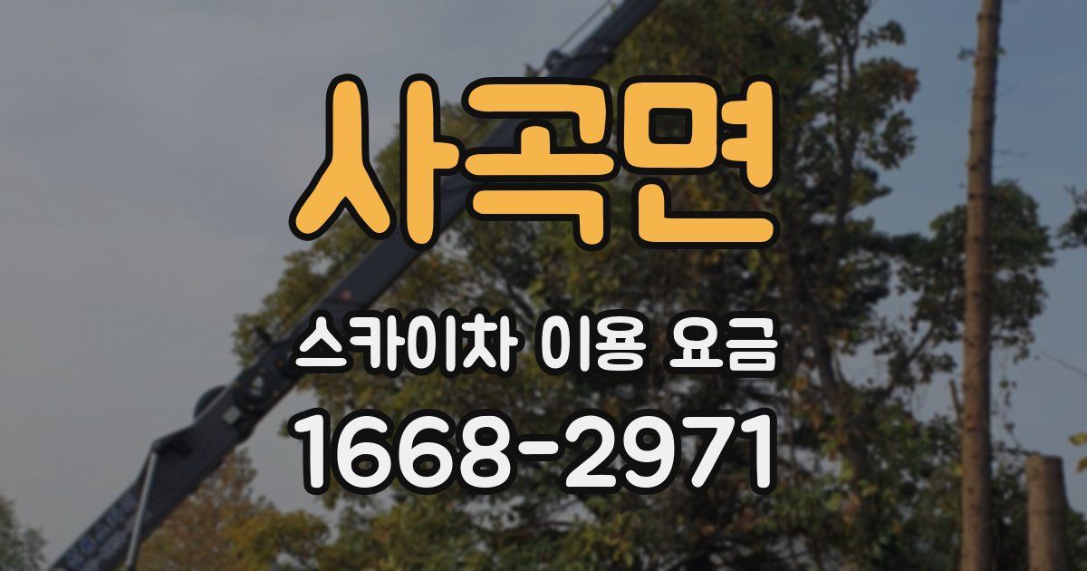사곡면 스카이차 이용 요금