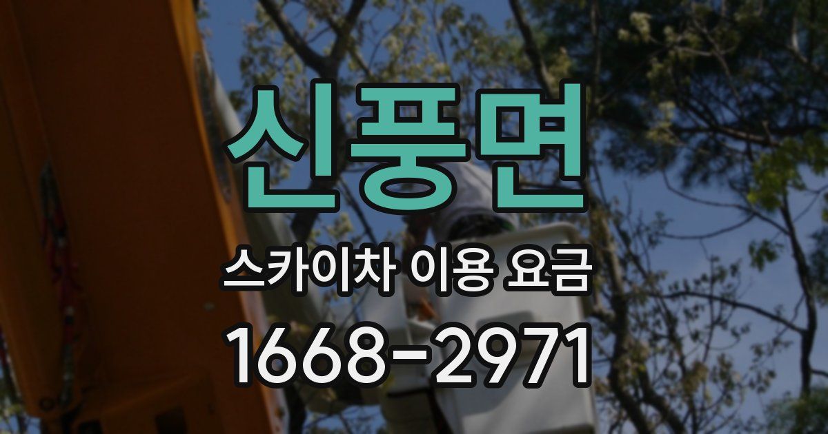 신풍면 스카이차 이용 요금