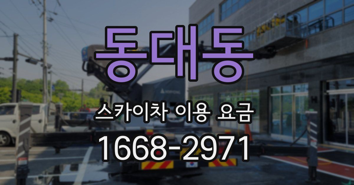 동대동 스카이차 이용 요금