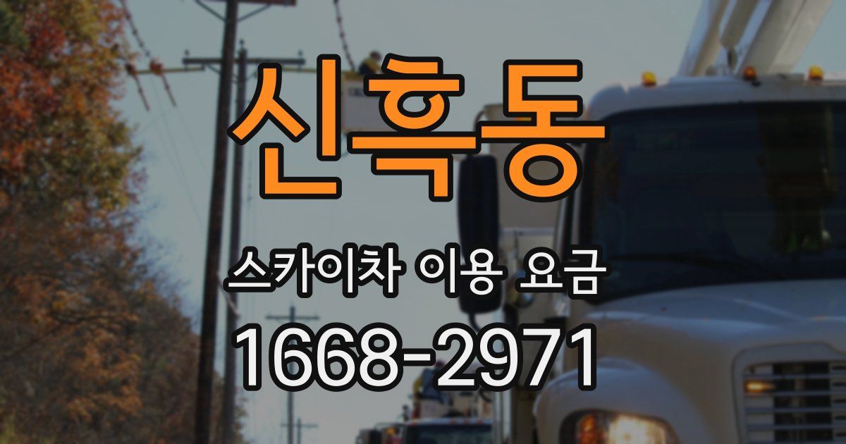 신흑동 스카이차 이용 요금