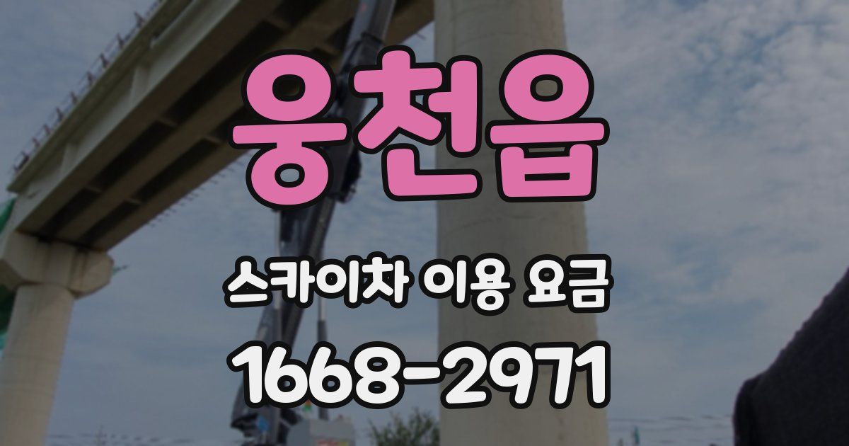 웅천읍 스카이차 이용 요금