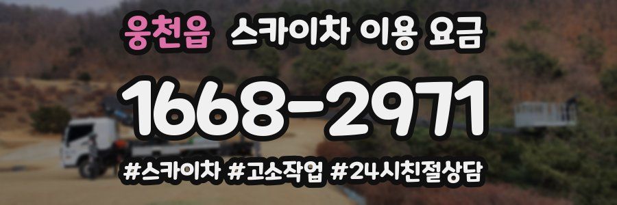 웅천읍 스카이차 이용 요금