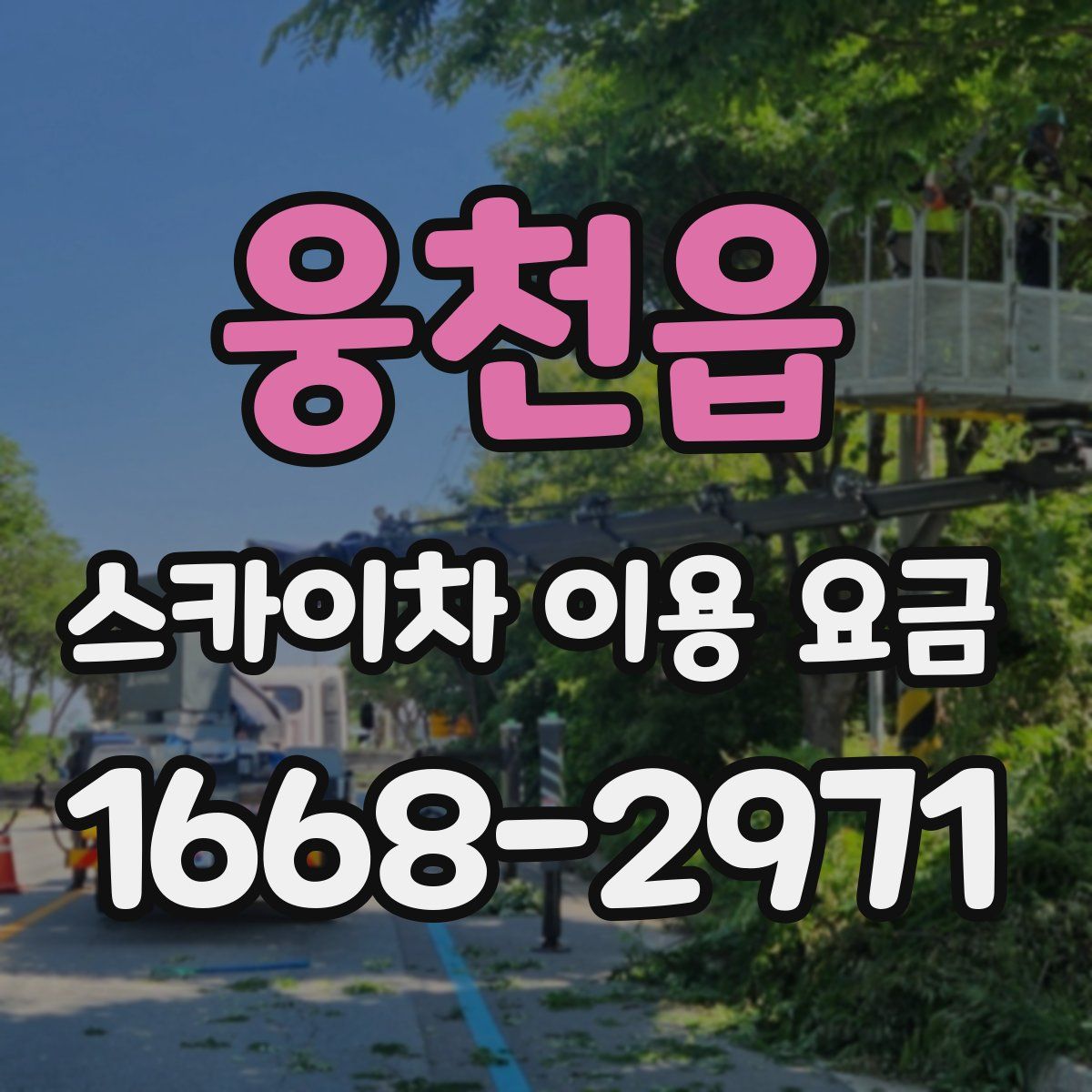 웅천읍 스카이차 이용 요금