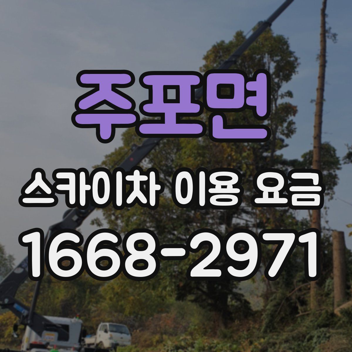 주포면 스카이차 이용 요금