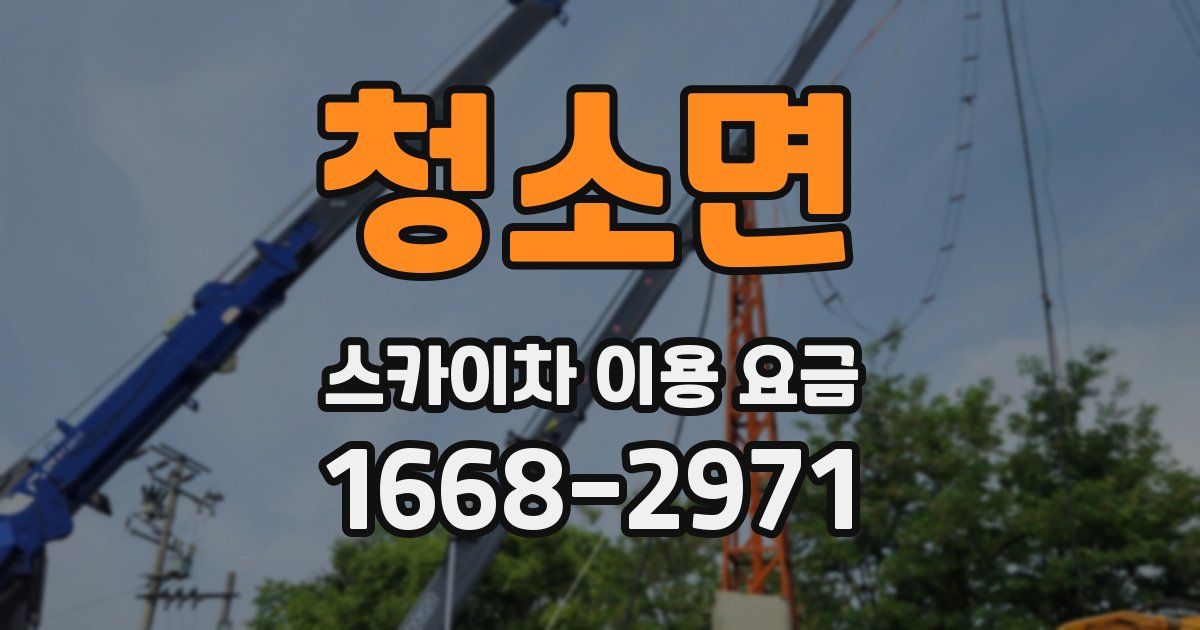 청소면 스카이차 이용 요금