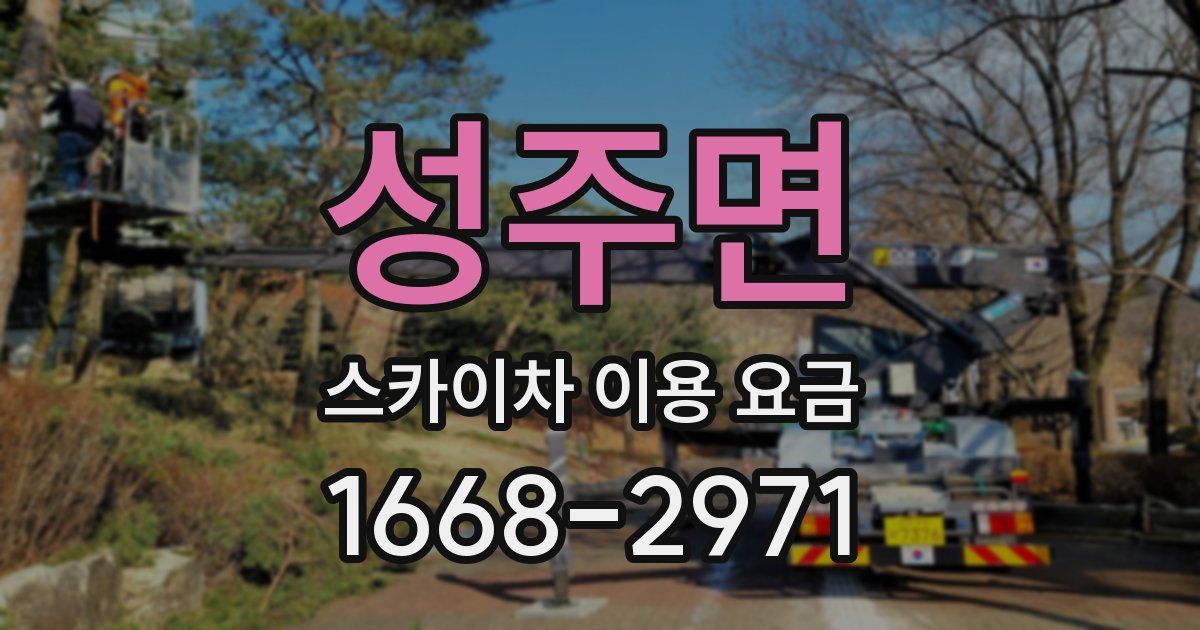 성주면 스카이차 이용 요금