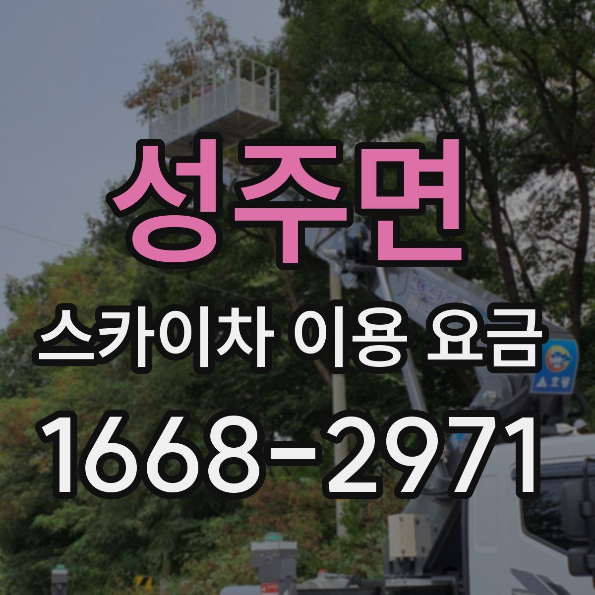 성주면 스카이차 이용 요금