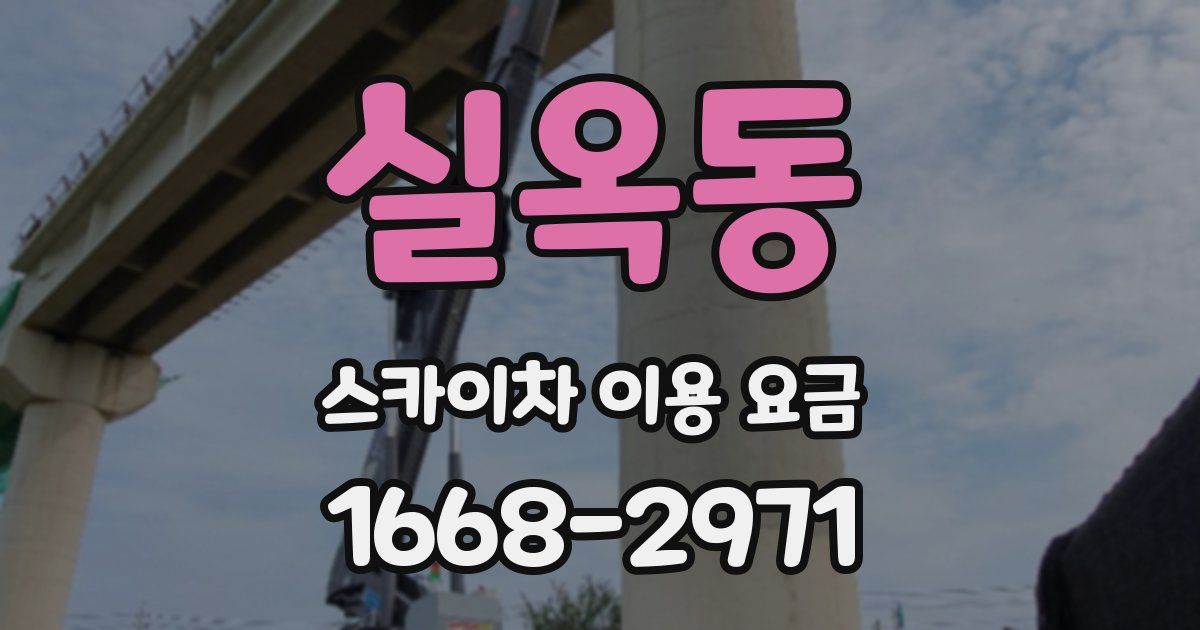 실옥동 스카이차 이용 요금