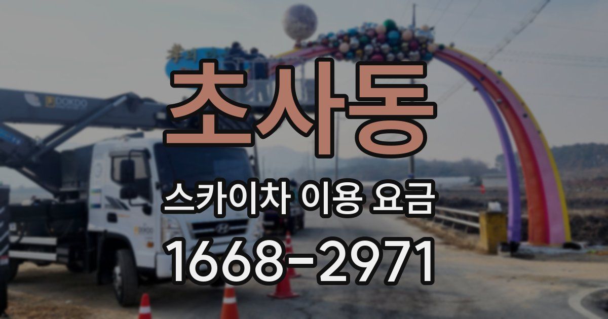 초사동 스카이차 이용 요금