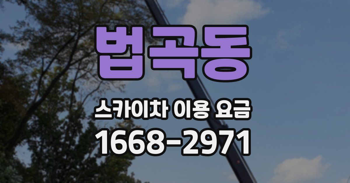 법곡동 스카이차 이용 요금