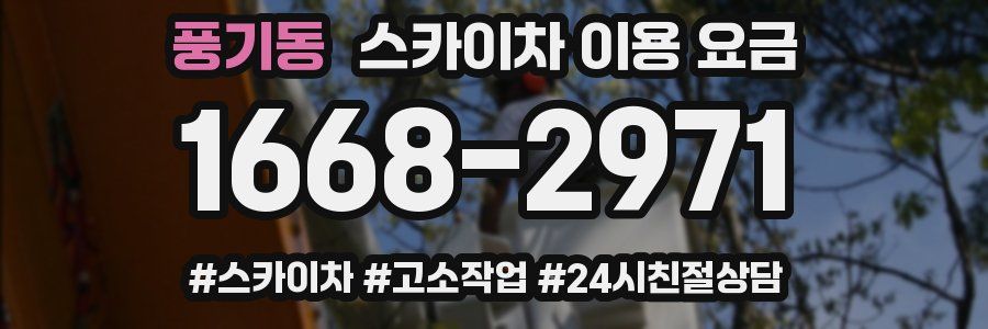 풍기동 스카이차 이용 요금
