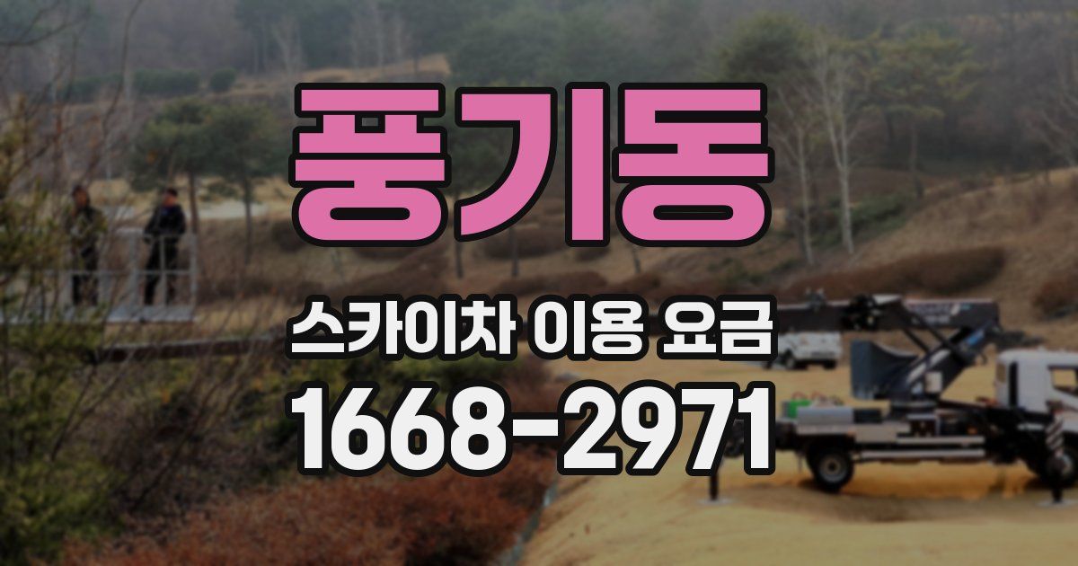 풍기동 스카이차 이용 요금