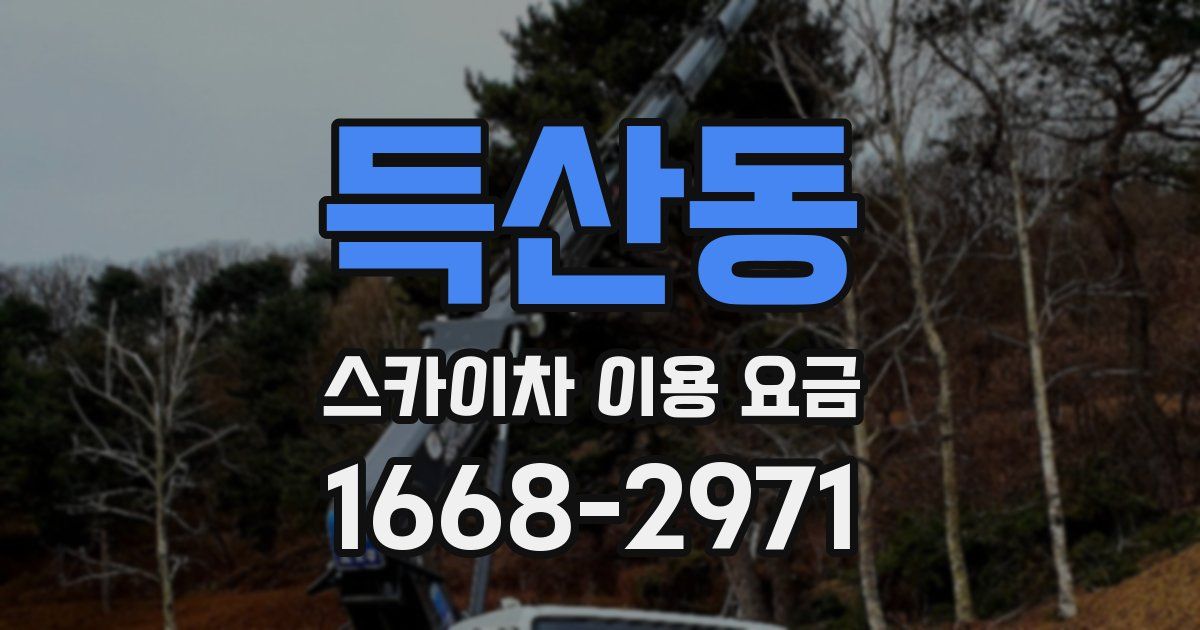 득산동 스카이차 이용 요금
