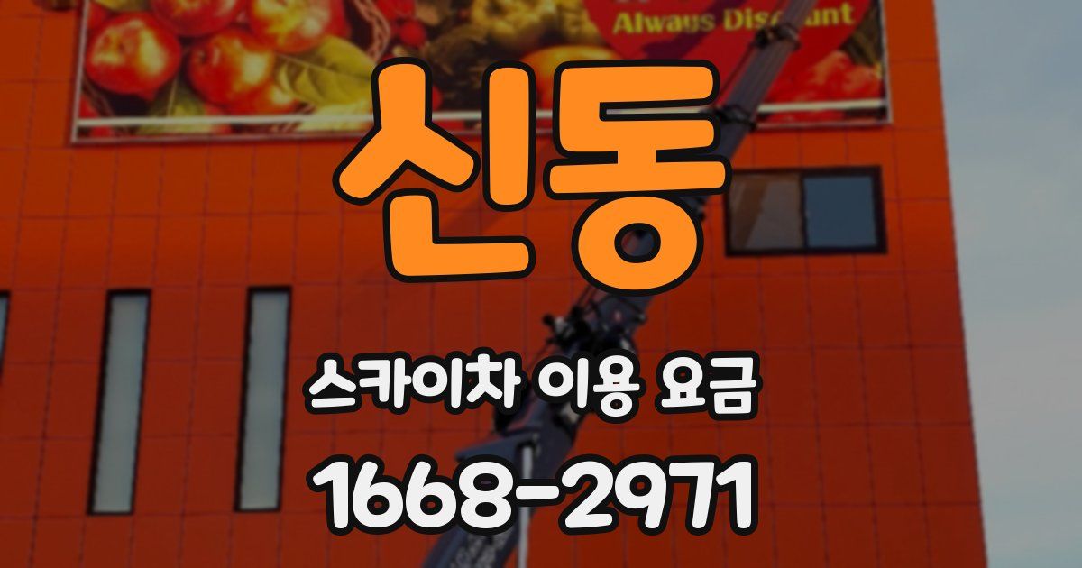신동 스카이차 이용 요금