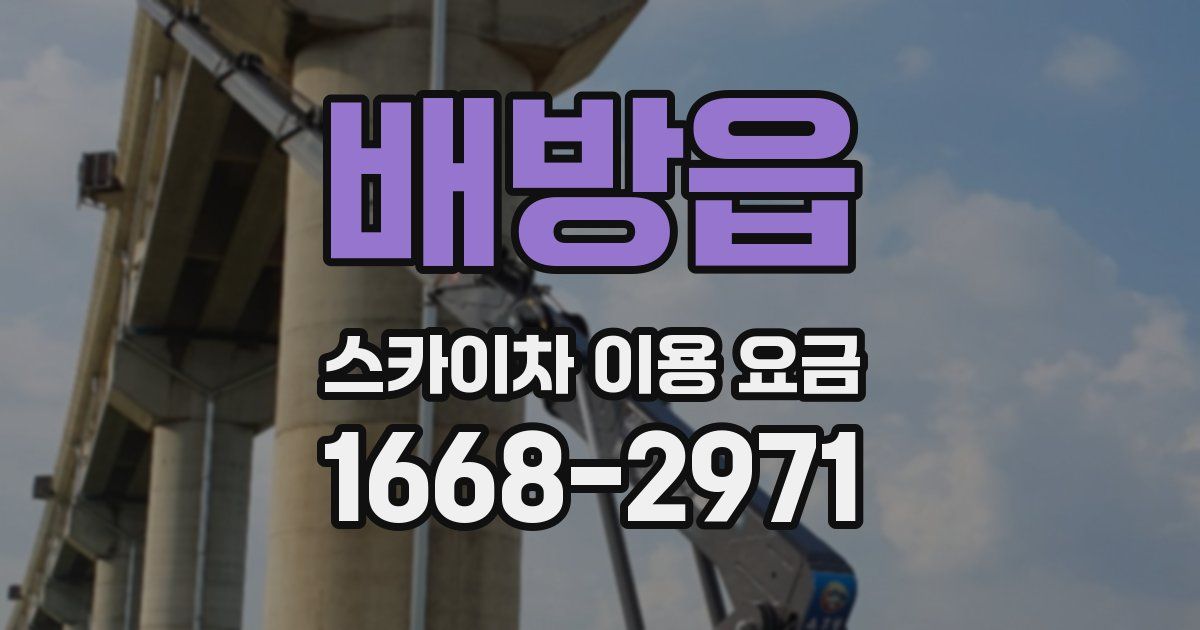 배방읍 스카이차 이용 요금