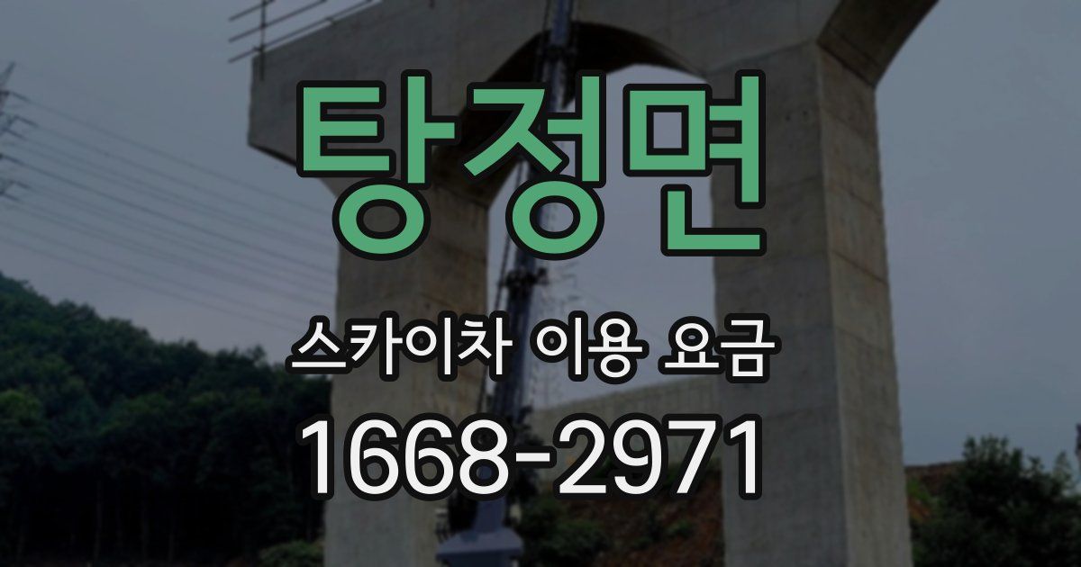 탕정면 스카이차 이용 요금
