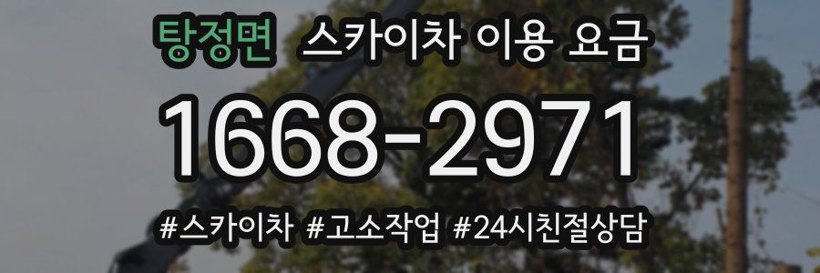 탕정면 스카이차 이용 요금