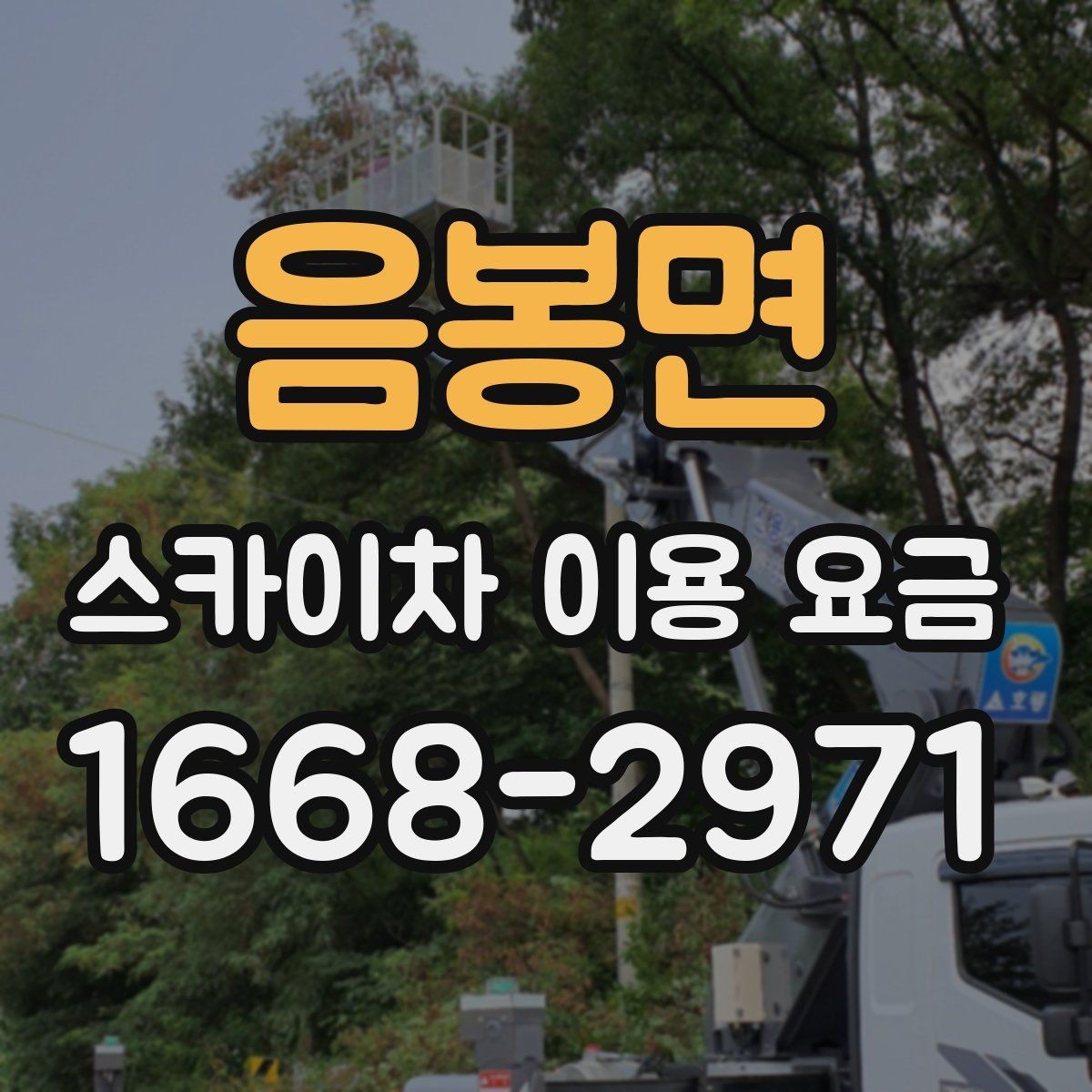 음봉면 스카이차 이용 요금 문의 시 빠뜨리기 쉬운 정보