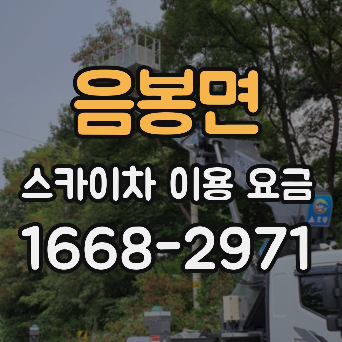 음봉면 스카이차 이용 요금