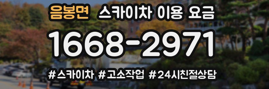 음봉면 스카이차 이용 요금