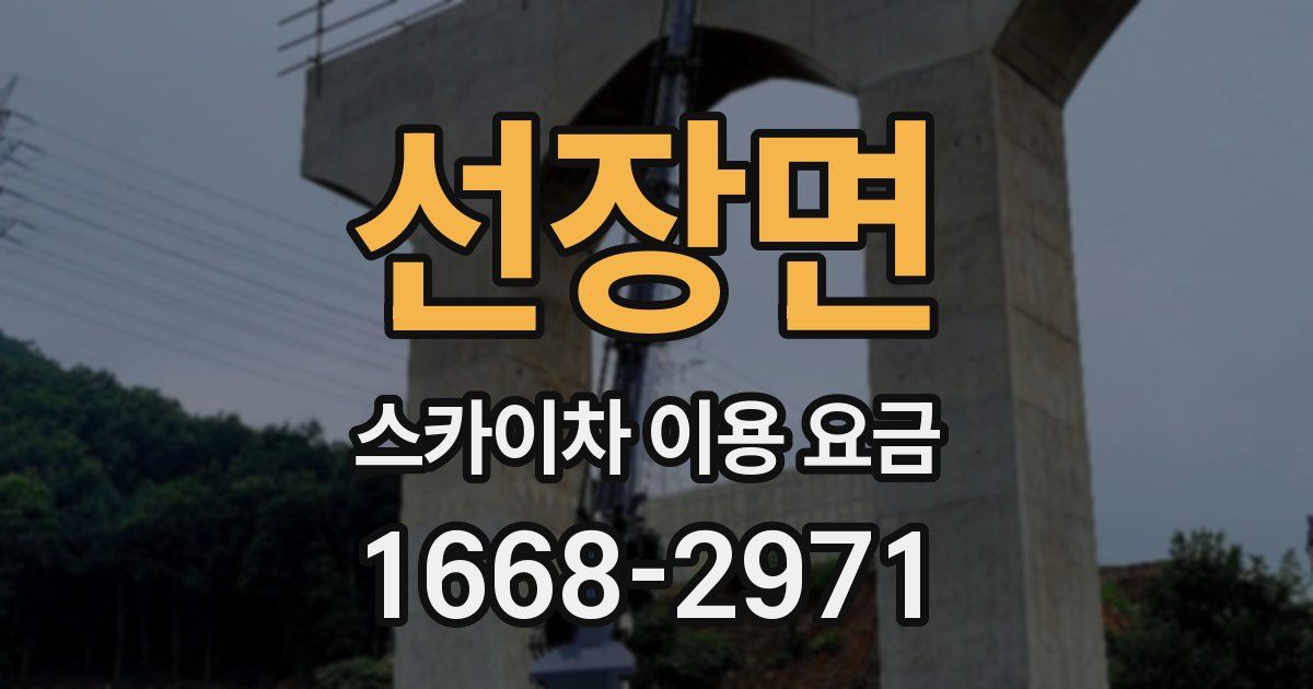 선장면 스카이차 이용 요금