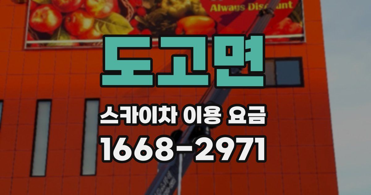 도고면 스카이차 이용 요금
