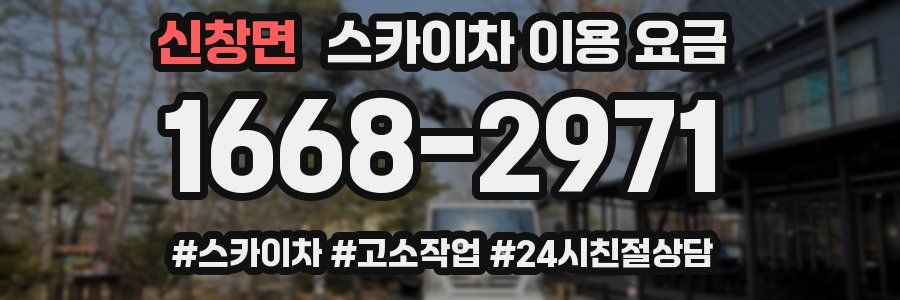 신창면 스카이차 이용 요금