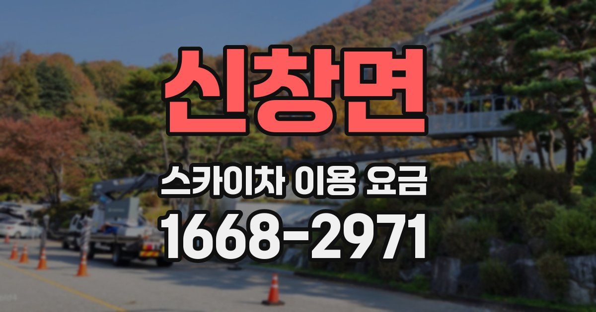 신창면 스카이차 이용 요금