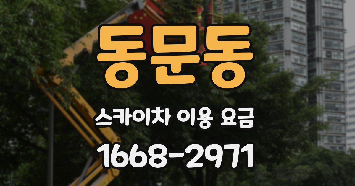동문동 스카이차 이용 요금