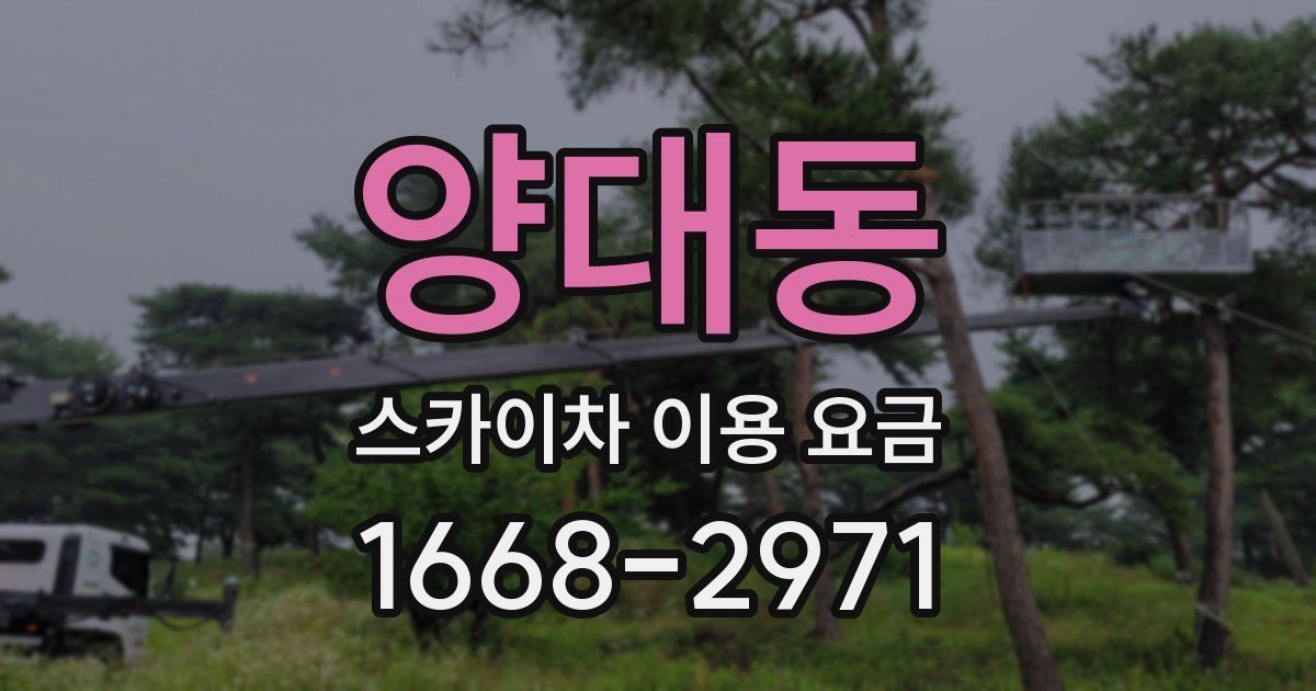 양대동 스카이차 이용 요금