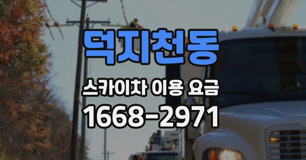 덕지천동 스카이차 이용 요금