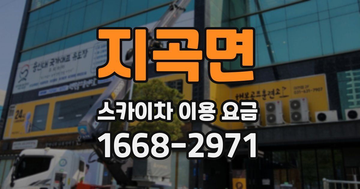 지곡면 스카이차 이용 요금