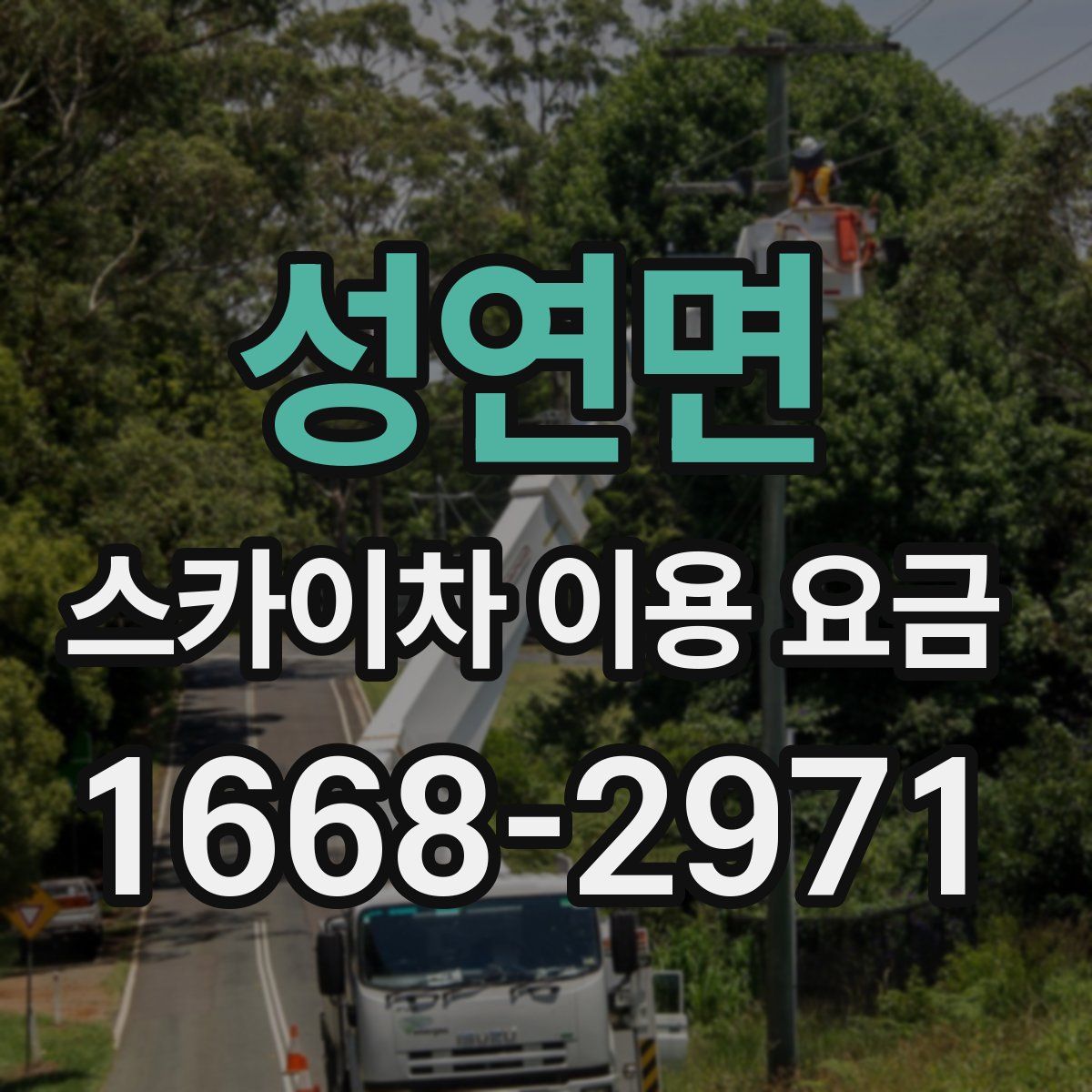 성연면 스카이차 이용 요금