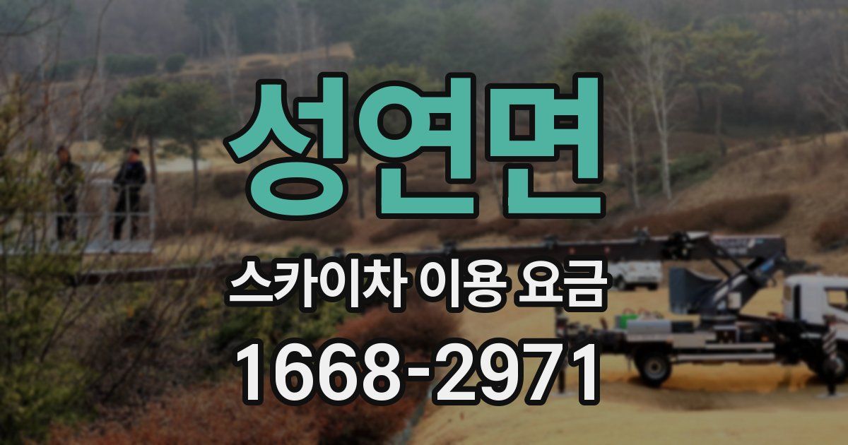 성연면 스카이차 이용 요금