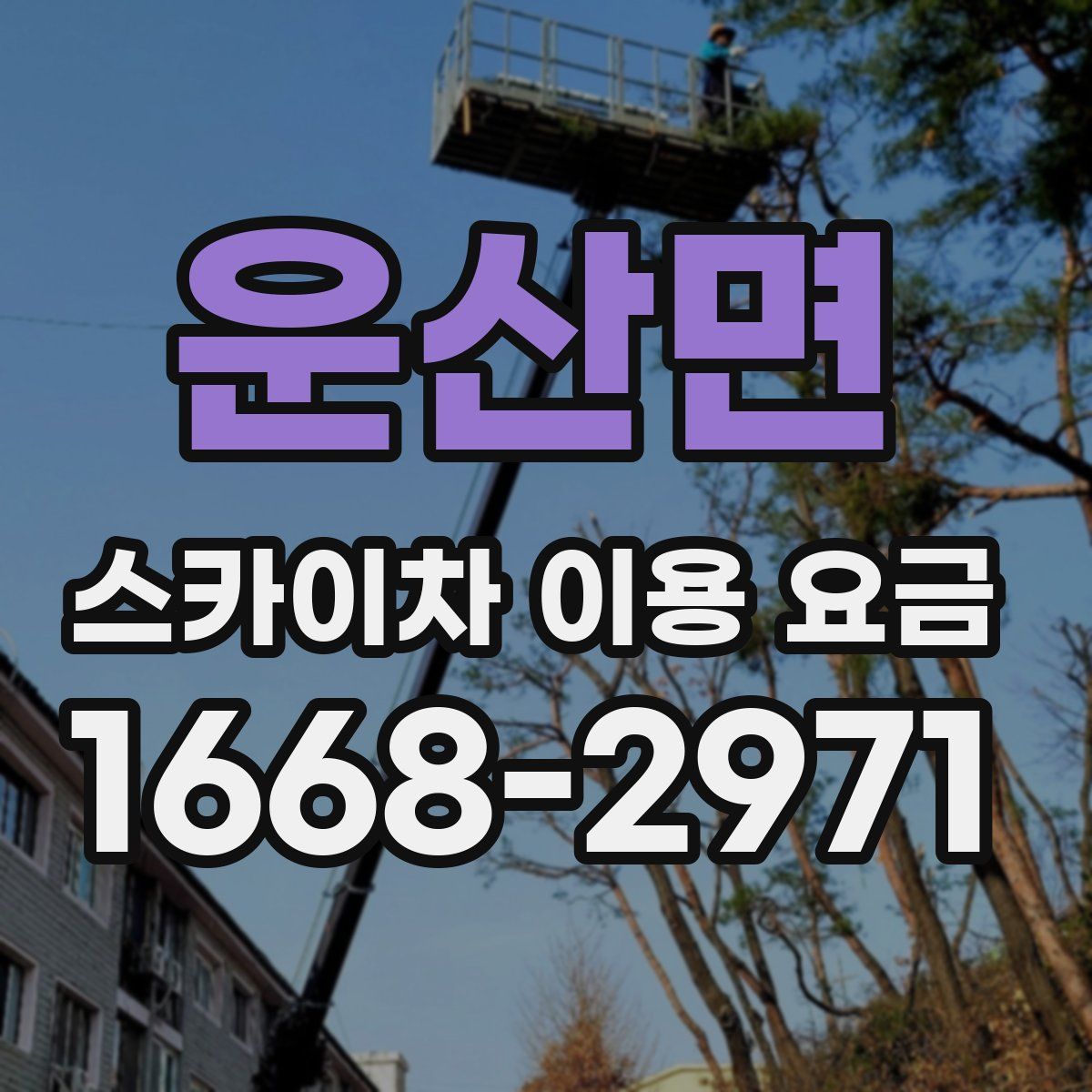 운산면 스카이차 이용 요금