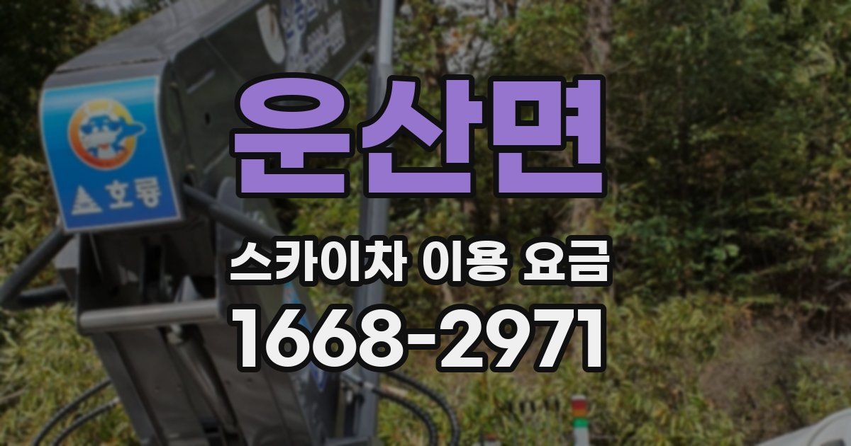 운산면 스카이차 이용 요금