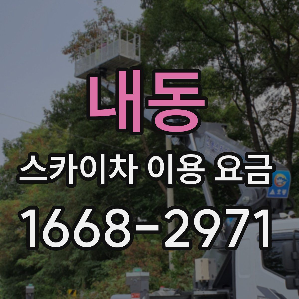 내동 스카이차 이용 요금