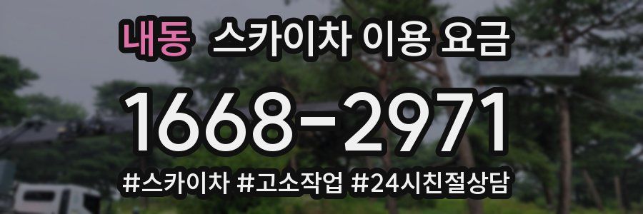 내동 스카이차 이용 요금