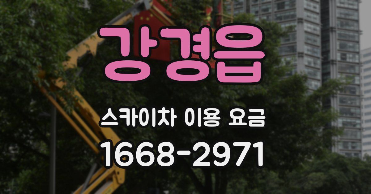 강경읍 스카이차 이용 요금