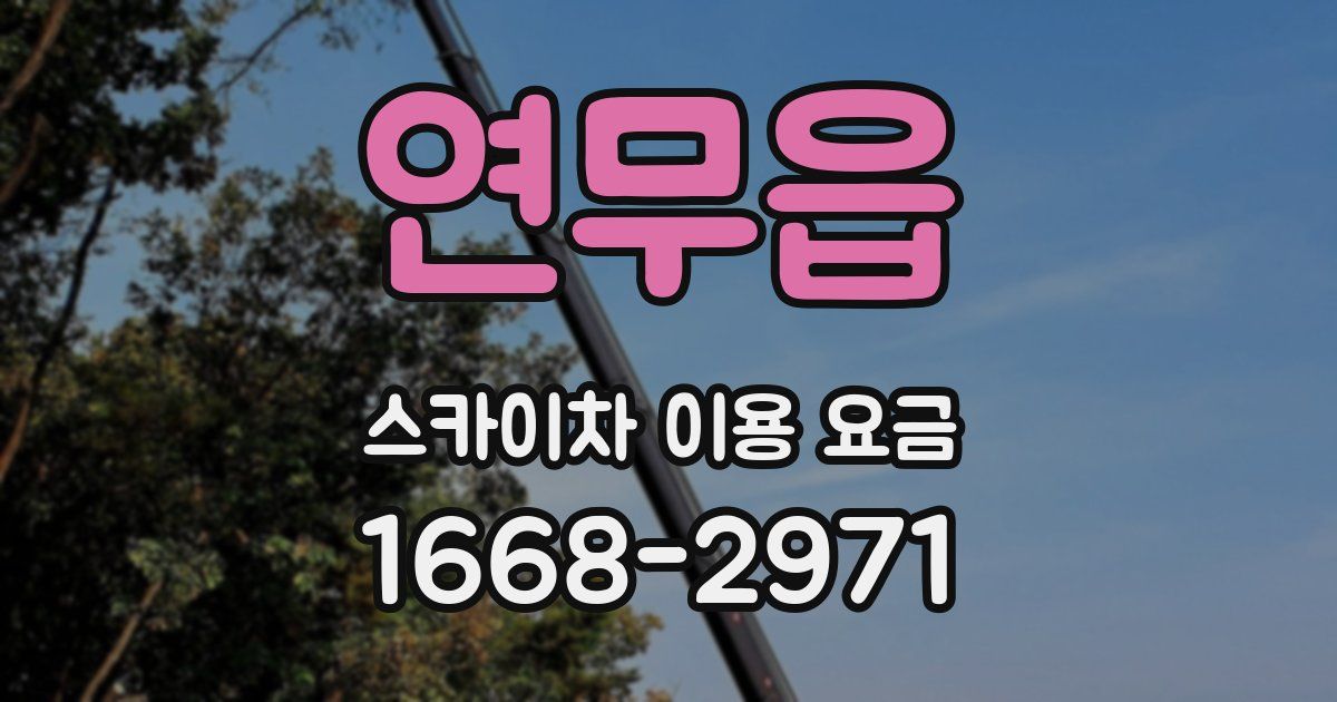 연무읍 스카이차 이용 요금