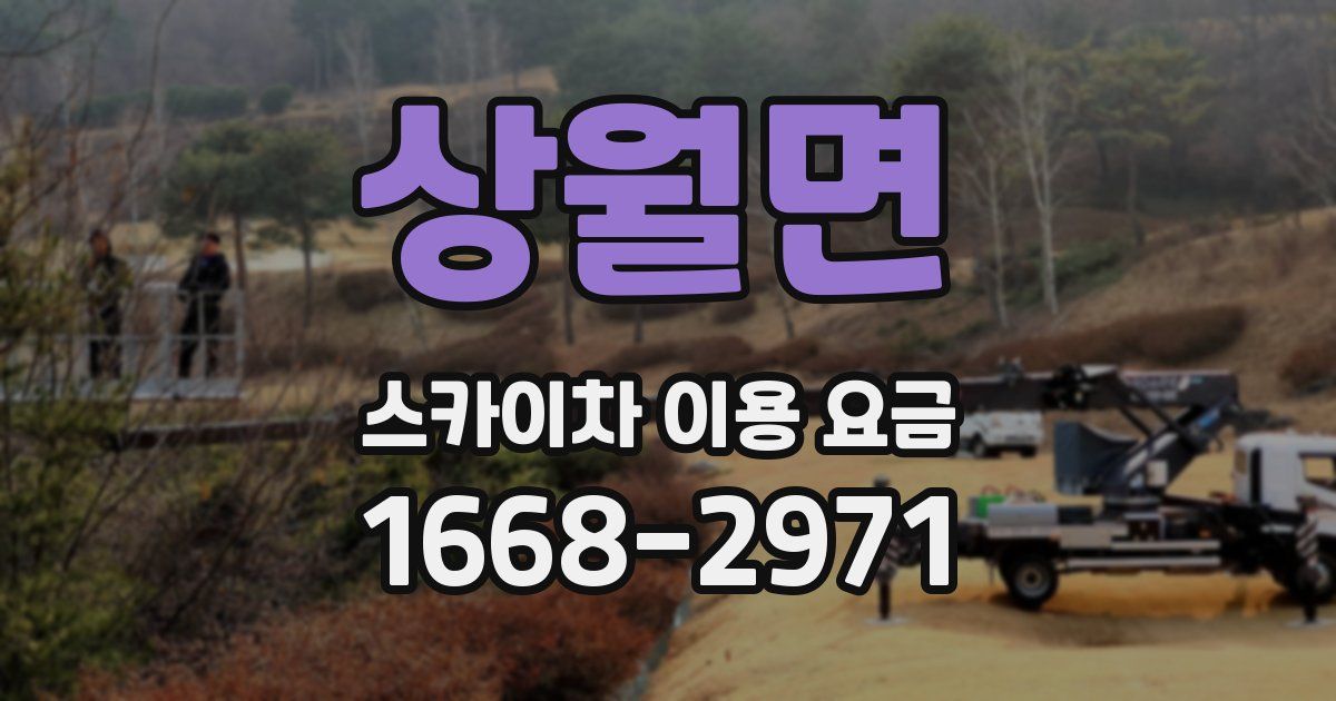 상월면 스카이차 이용 요금