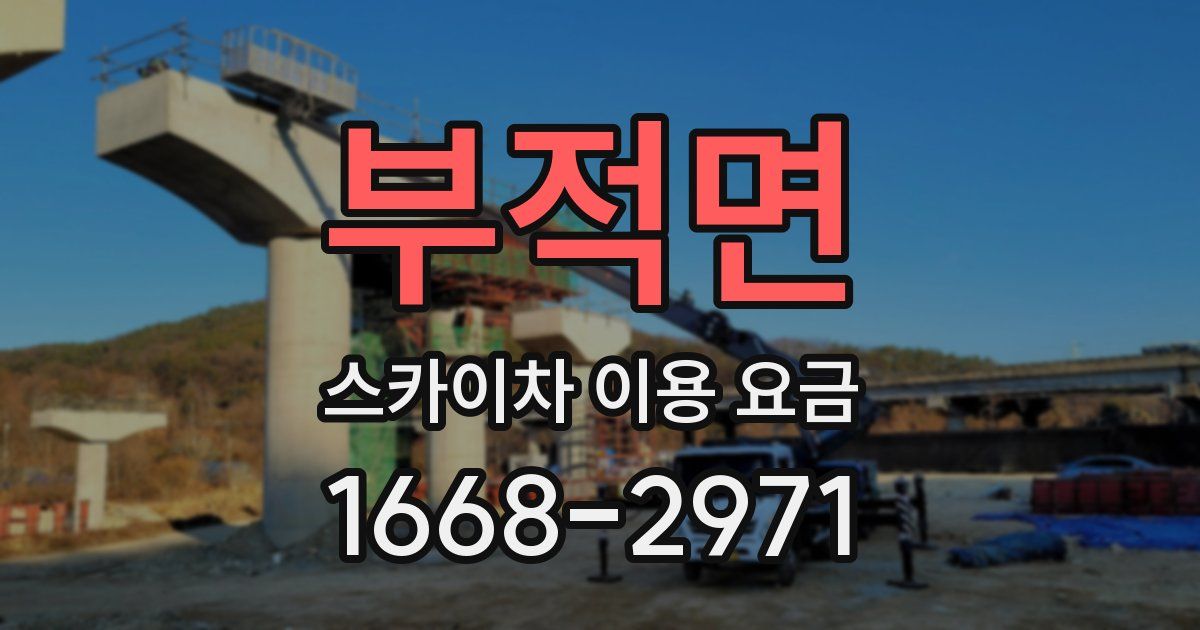 부적면 스카이차 이용 요금