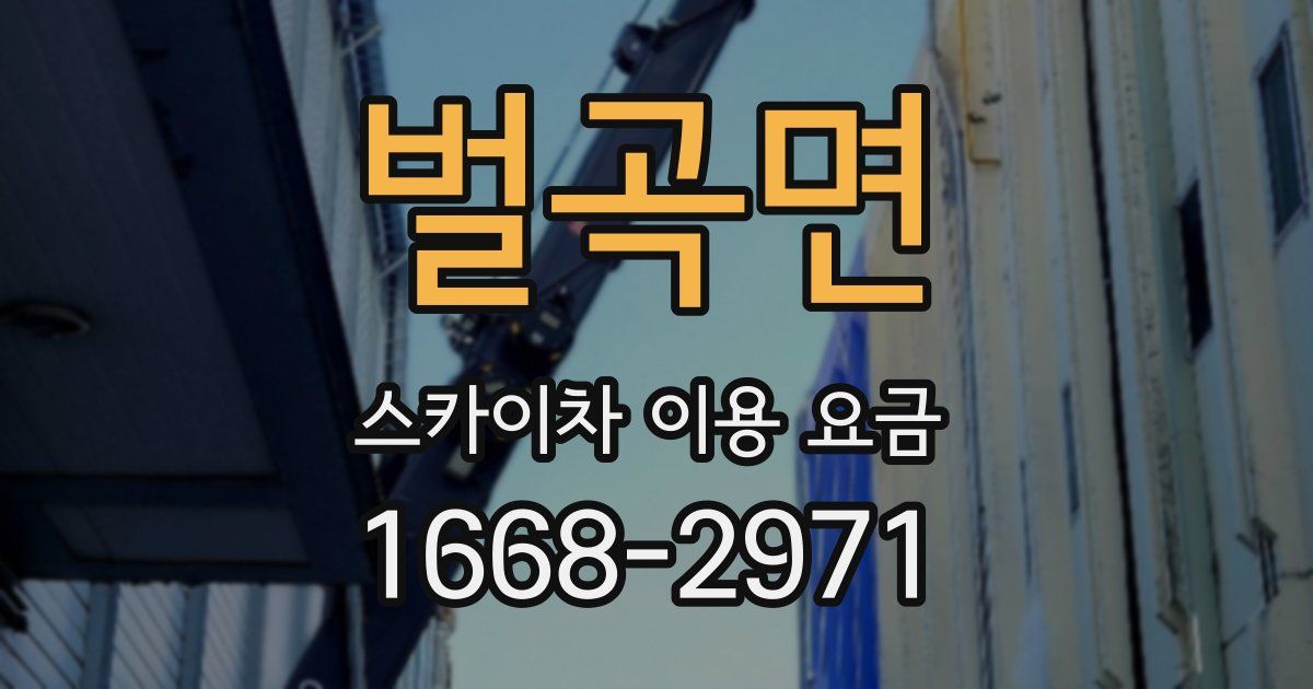 벌곡면 스카이차 이용 요금