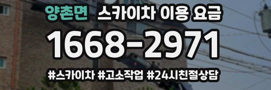 양촌면 스카이차 이용 요금