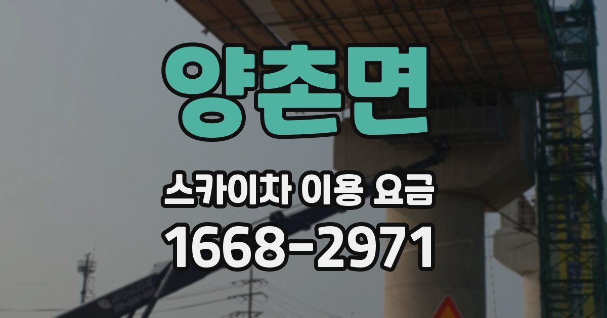 양촌면 스카이차 이용 요금