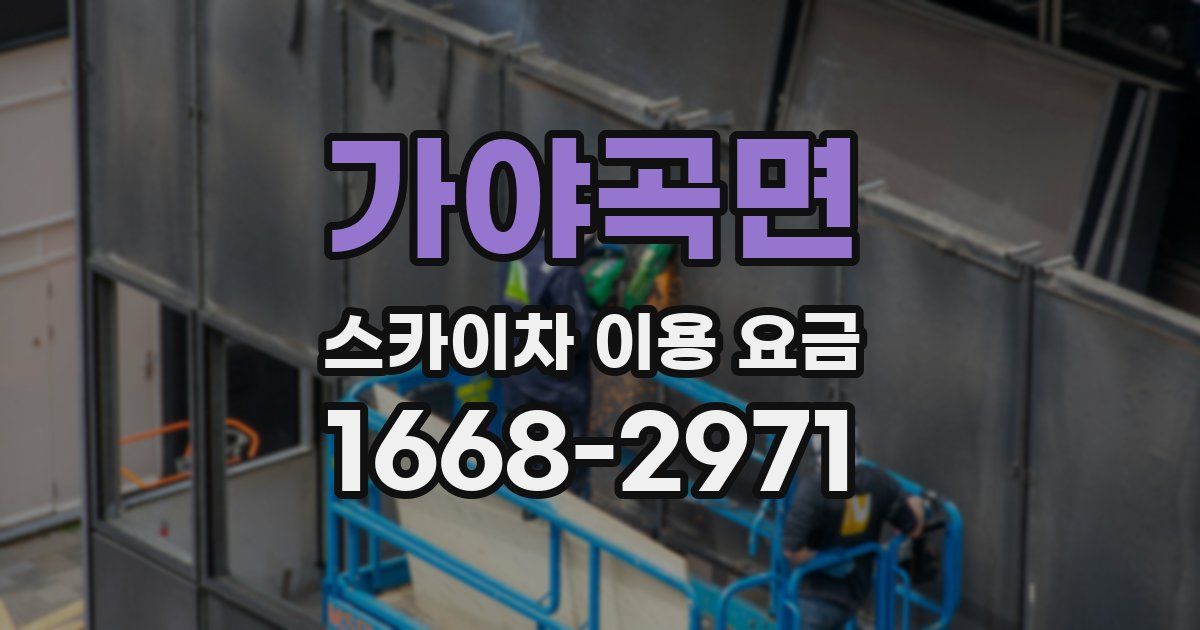 가야곡면 스카이차 이용 요금