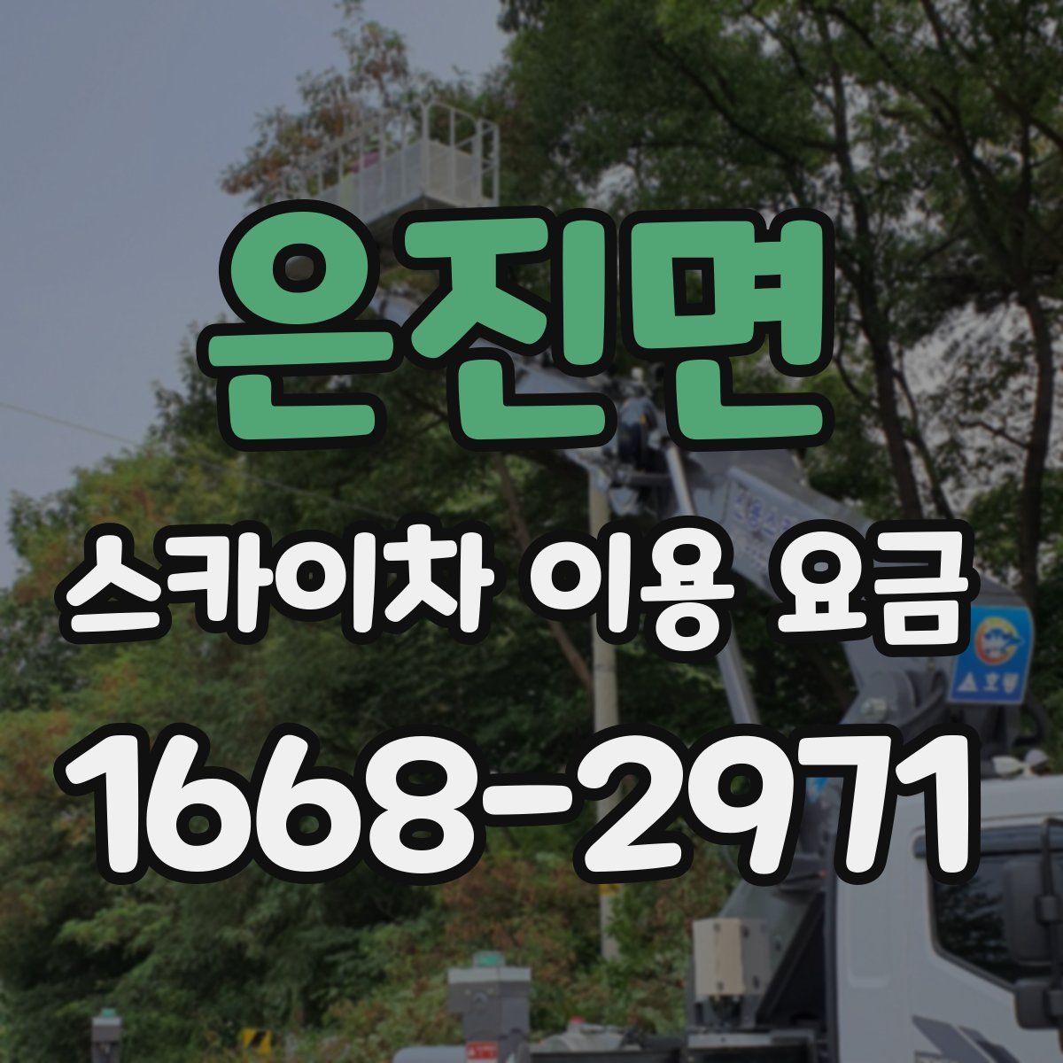 은진면 스카이차 이용 요금
