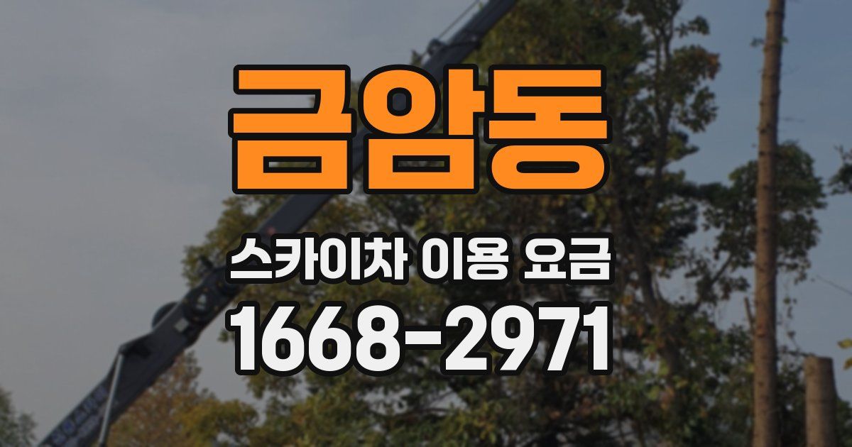 금암동 스카이차 이용 요금