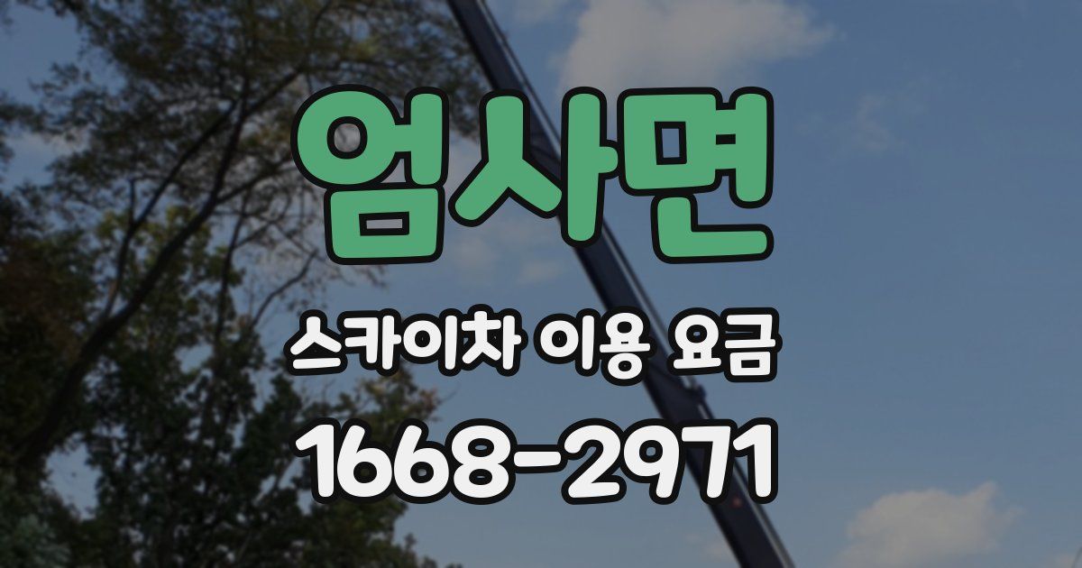 엄사면 스카이차 이용 요금